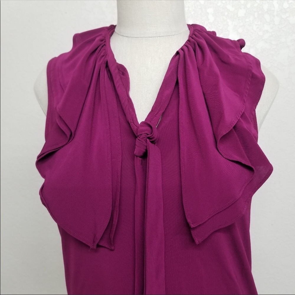 Banana Republic Ruffle Blouse - Picture 3 of 7
